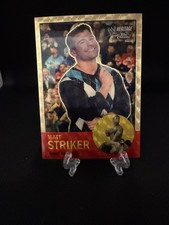 Marketplace image: 2007 Topps Heritage II Chrome WWE #12 MATT STRIKER SUPERFRACTOR /25 - SSP